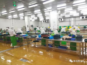 太平恩利食品加工廠高薪誠聘 包吃包住，男女不限，酒店管理崗月薪過萬