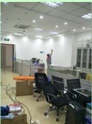 守護城市衛生防線 一文解讀深圳綜合蟲控與保潔管理